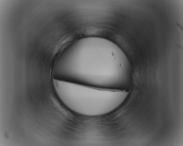X0000102040454200807181033