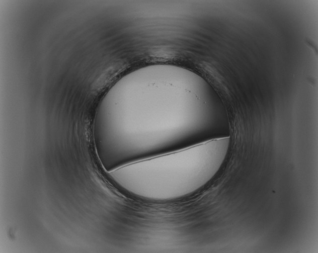 X0000102040455200807181033