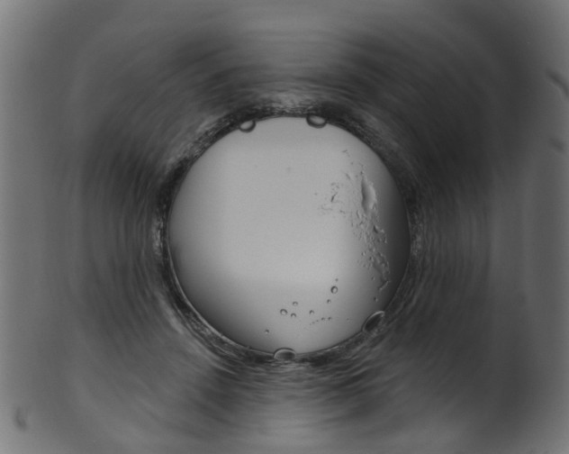 X0000102040456200807181033