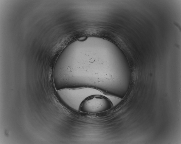 X0000102040458200807181033