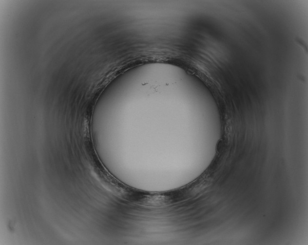 X0000102040459200807181033