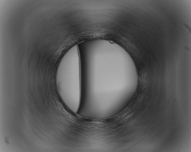 X0000102040462200807181034