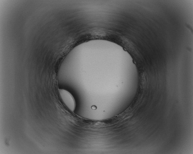 X0000102040463200807181034