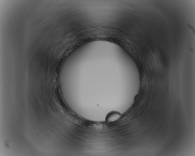 X0000102040464200807181034