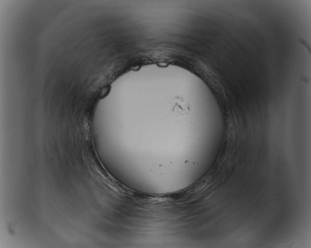 X0000102040465200807181034