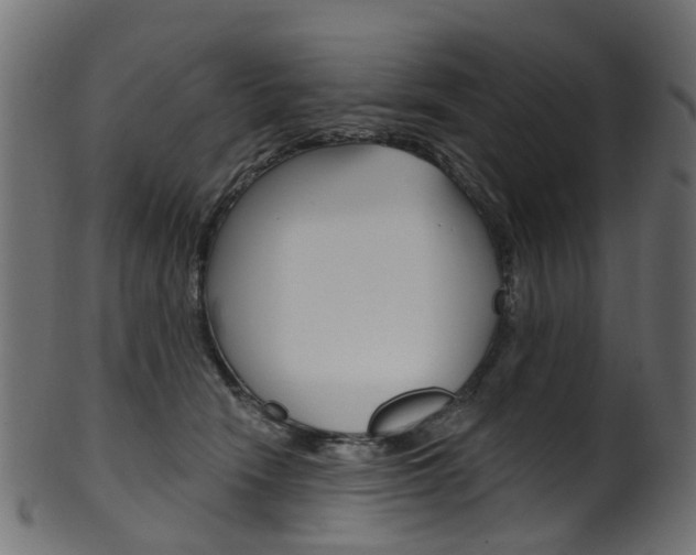 X0000102040466200807181034