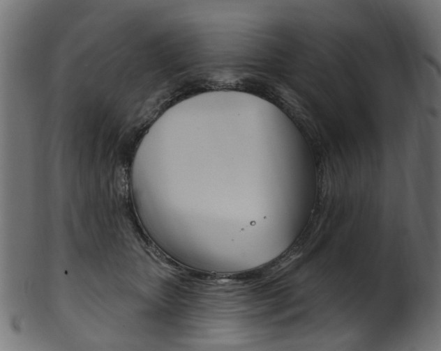 X0000102040467200807181034