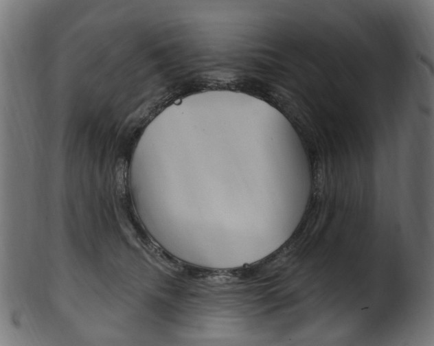 X0000102040468200807181034