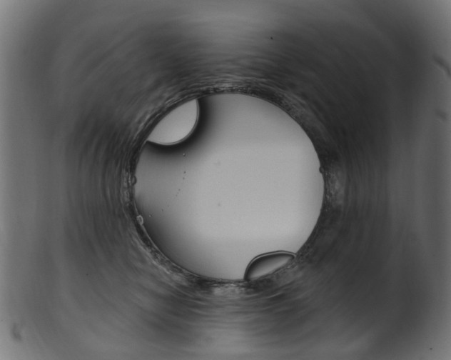 X0000102040470200807181034