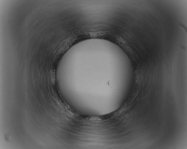 X0000102040471200807181034