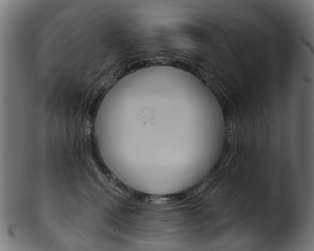 X0000102040472200807181034