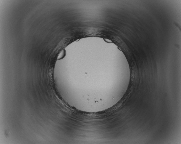 X0000102040473200807181034