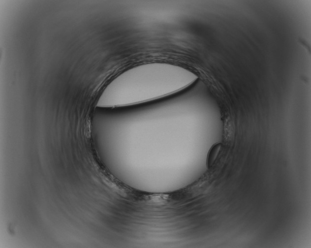 X0000102040474200807181034