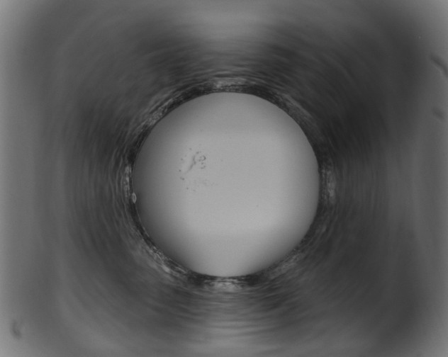 X0000102040475200807181034