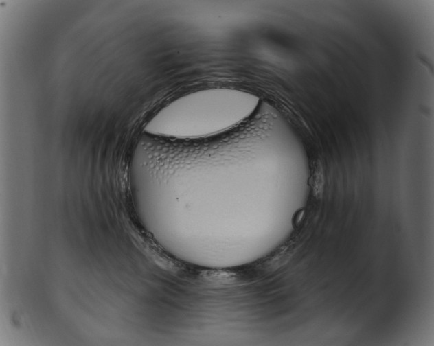 X0000102040476200807181034