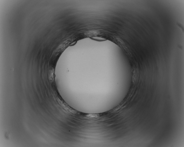 X0000102040477200807181034