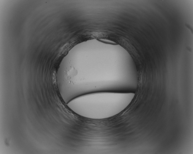 X0000102040478200807181034