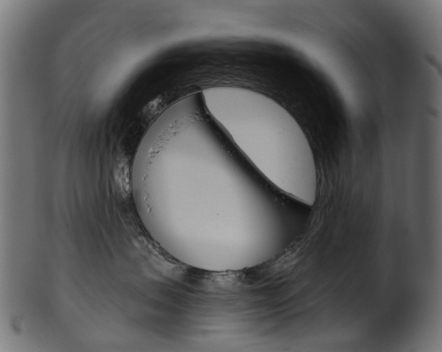 X0000102040479200807181034
