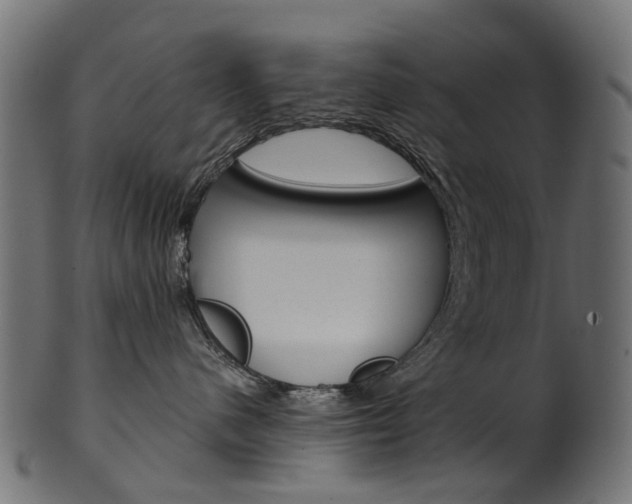 X0000102040480200807181034