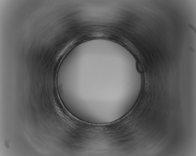 X0000102040482200807181033