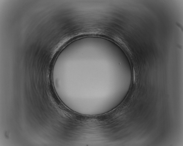 X0000102040483200807181033