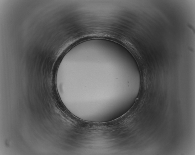 X0000102040484200807181033