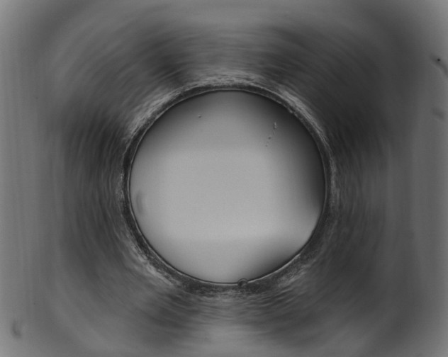 X0000102040485200807181033