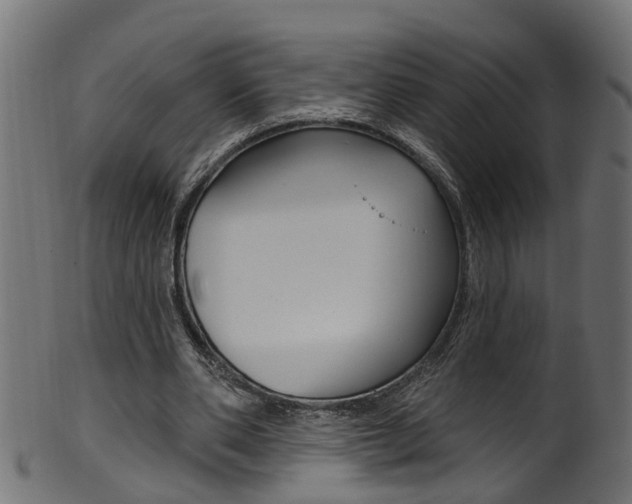 X0000102040486200807181033