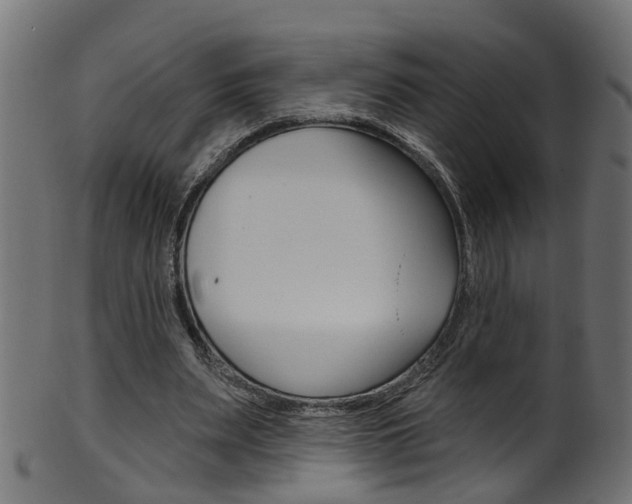 X0000102040487200807181033