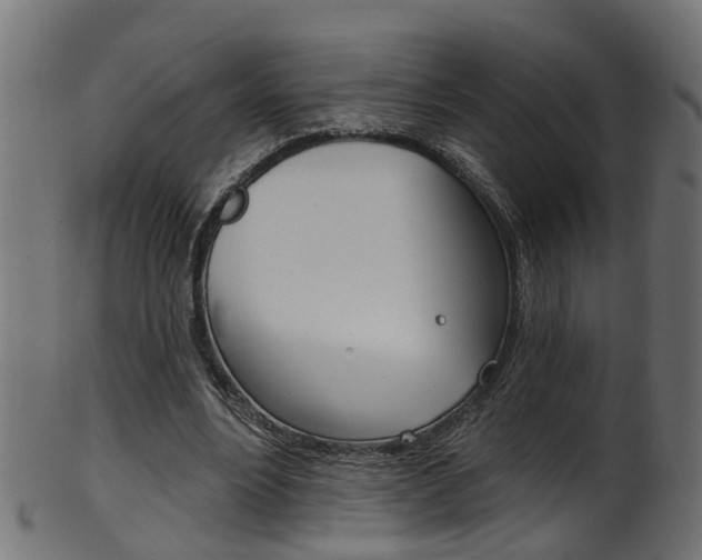 X0000102040488200807181033