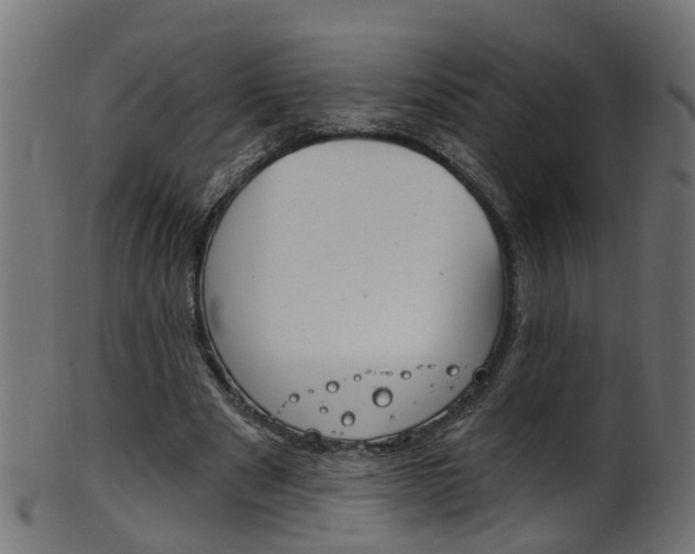 X0000102040489200807181033