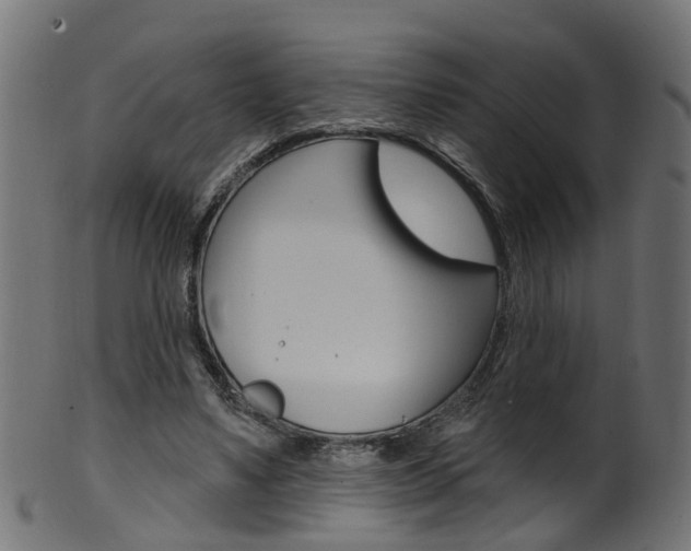X0000102040491200807181033
