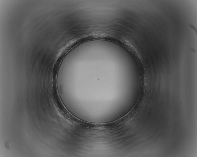 X0000102040492200807181033