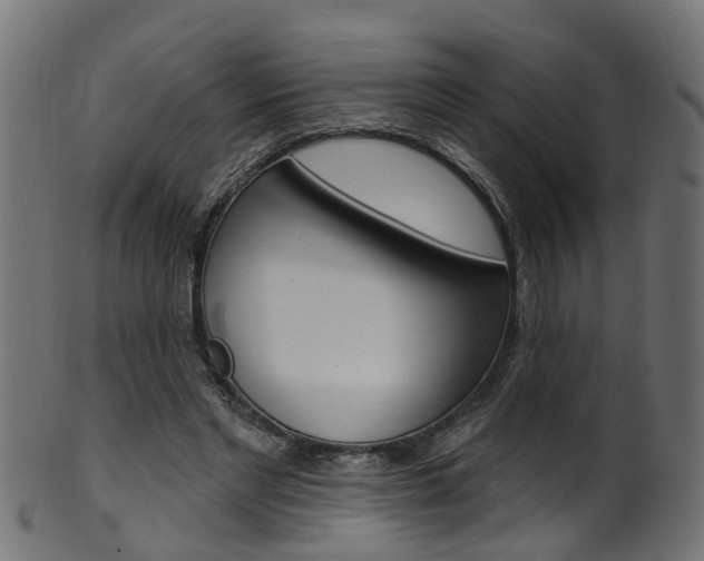 X0000102040493200807181033
