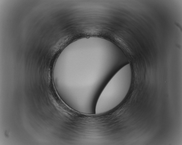 X0000102040494200807181033
