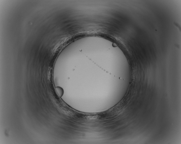 X0000102040495200807181033