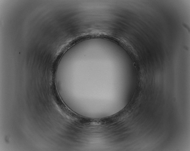 X0000102040496200807181033