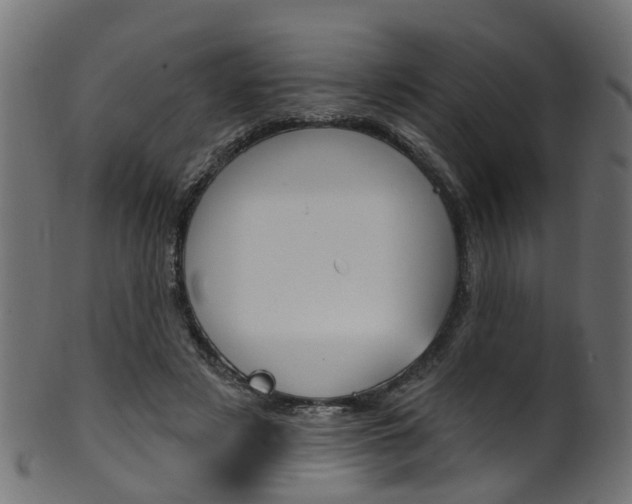 X0000102040497200807181033