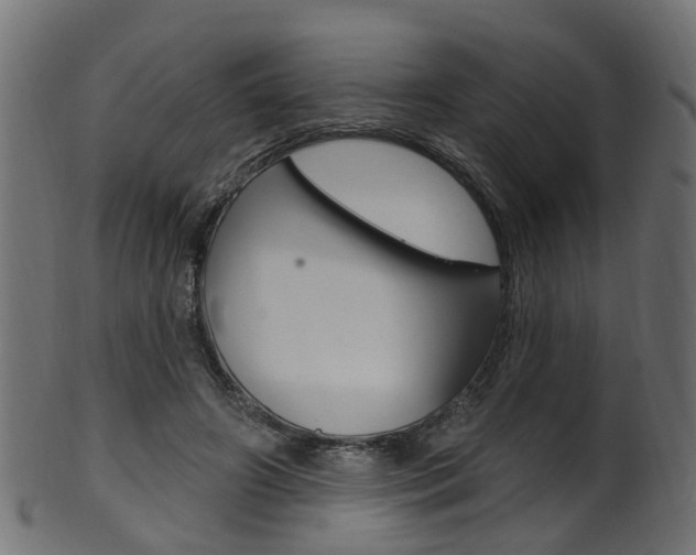 X0000102040498200807181033