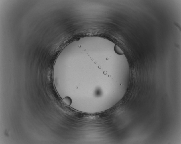 X0000102040499200807181033