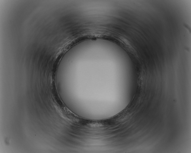 X0000102040500200807181033
