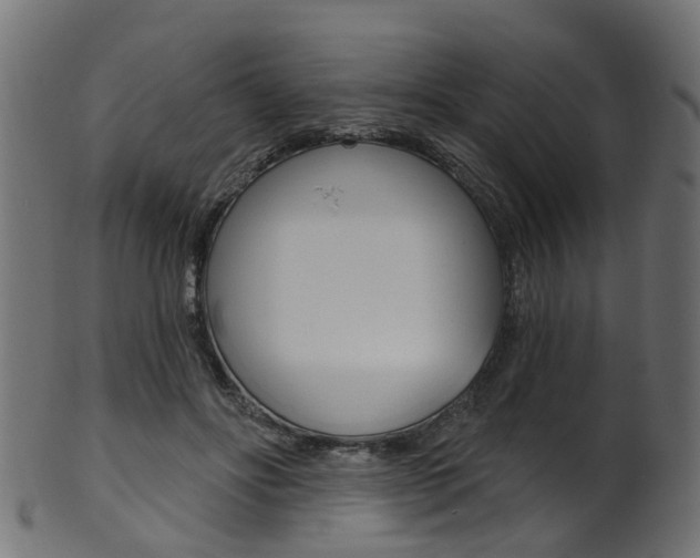 X0000102040502200807181033