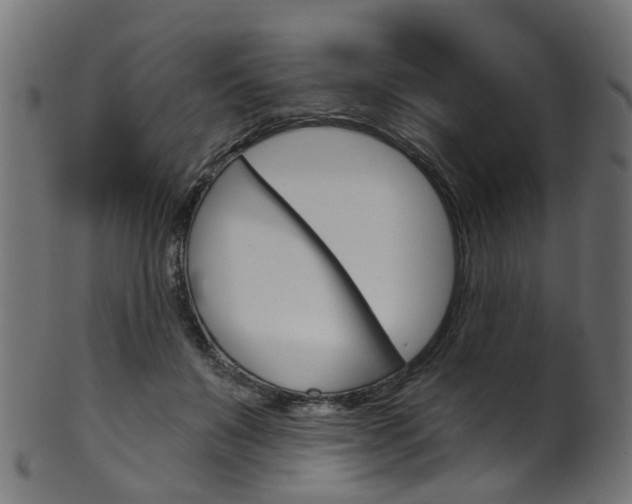 X0000102040503200807181033