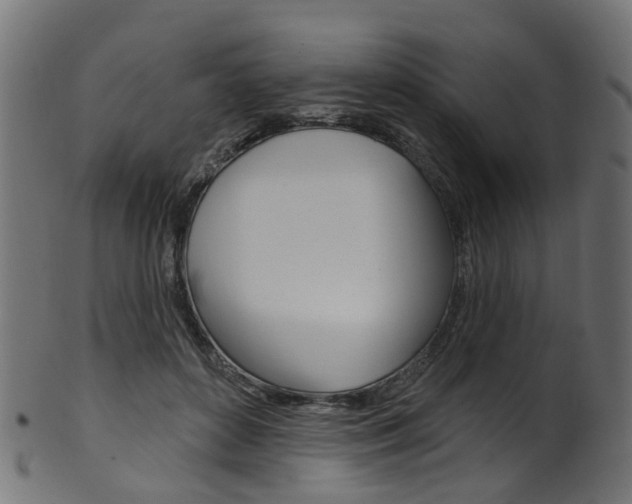 X0000102040504200807181033