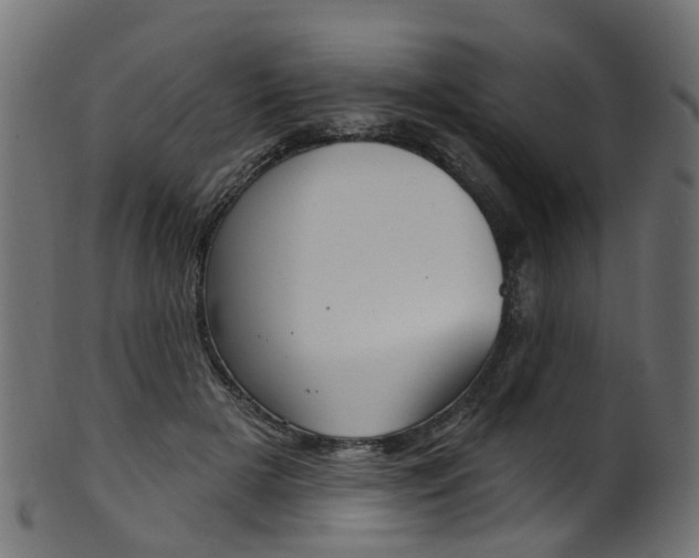 X0000102040505200807181033
