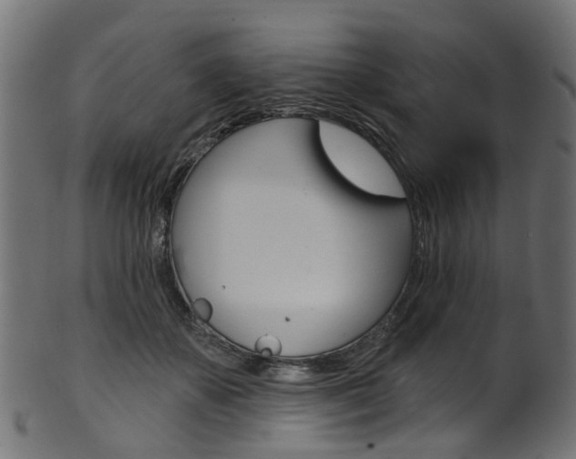 X0000102040507200807181033