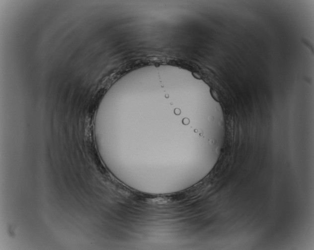 X0000102040511200807181033