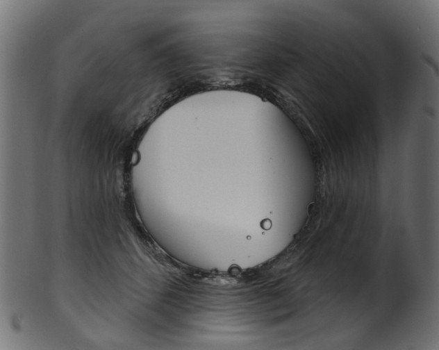 X0000102040512200807181033