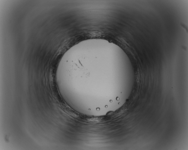 X0000102040516200807181033