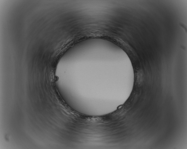 X0000102040517200807181033